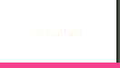 L.Cattani